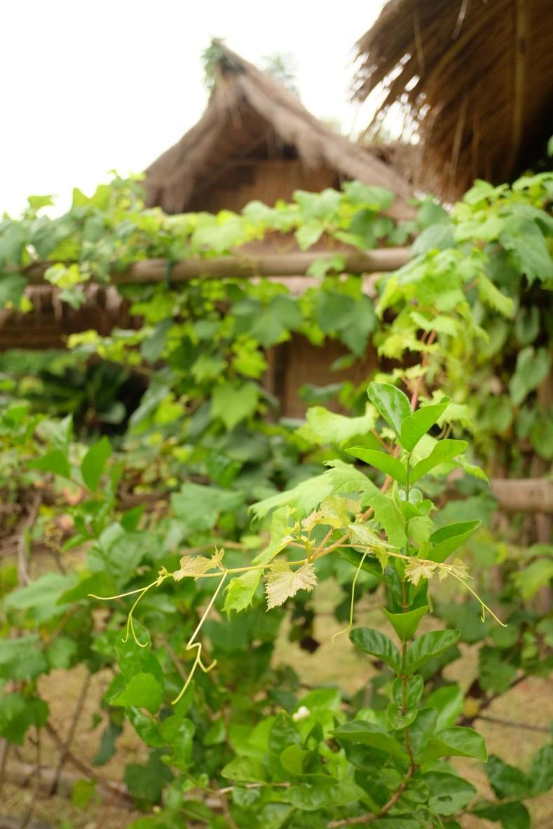 Royal Mountain Hut 호텔 Ratchaburi 객실 사진