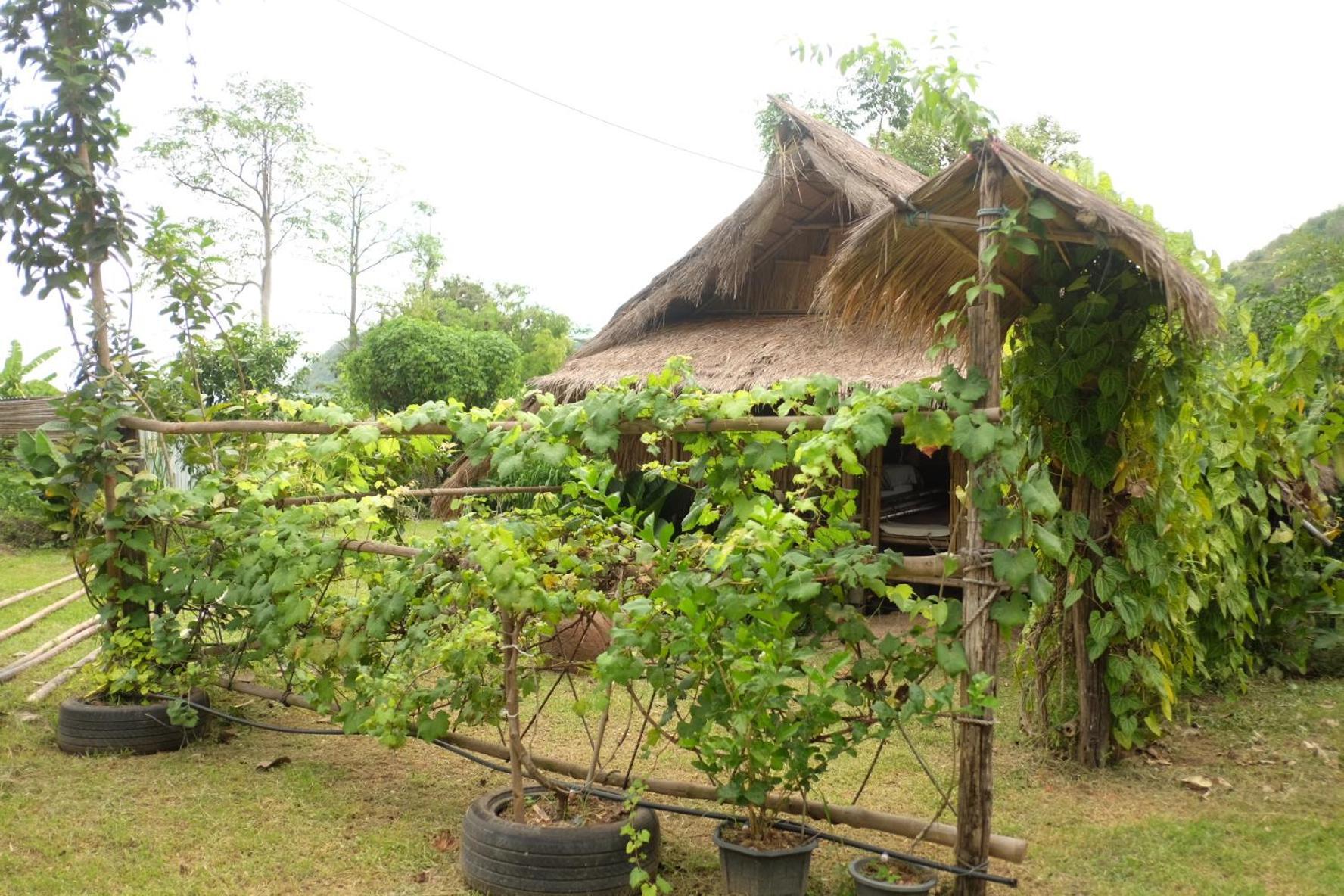 Royal Mountain Hut 호텔 Ratchaburi 객실 사진